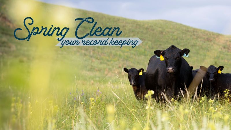 Spring Clean Your Record Keeping