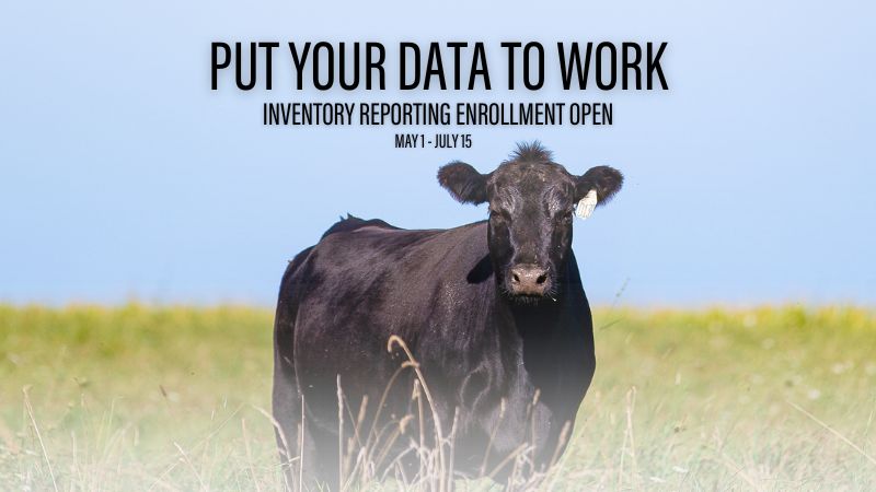 You’re working hard, your data should be too