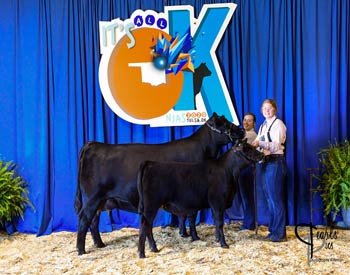 Owned Cow-calf Class 4