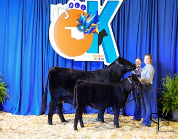 Bred-and-owned Cow-calf Class 1