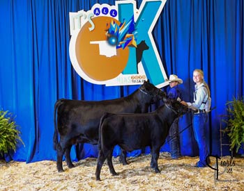 Owned Cow-calf Class 1