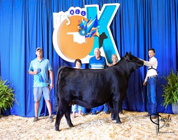 Owned Heifer Class 55