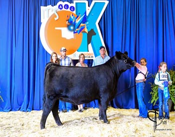 Owned Heifer Class 53