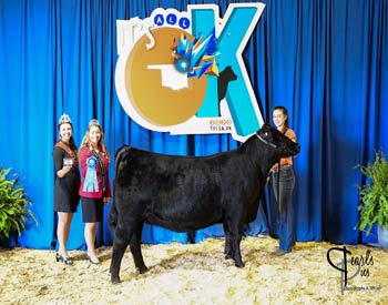 Owned Heifer Class 49