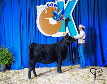 Owned Heifer Class 29