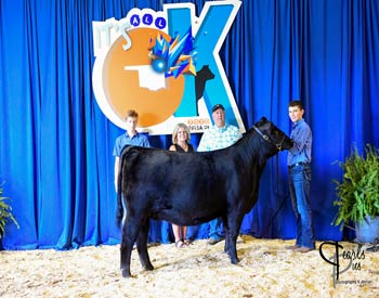 Owned Heifer Class 47