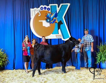 Owned Heifer Class 43