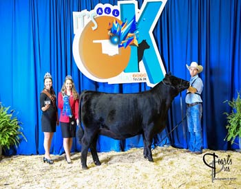 Owned Heifer Class 48