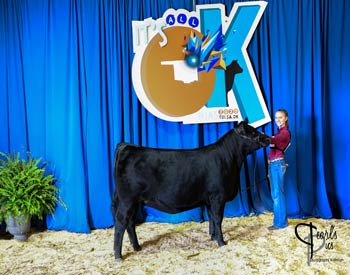 Owned Heifer Class 19