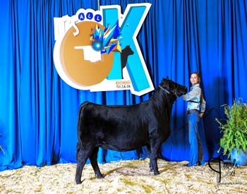 Owned Heifer Class 31