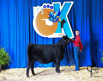 Owned Heifer Class 21