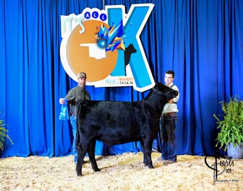 Owned Heifer Class 15