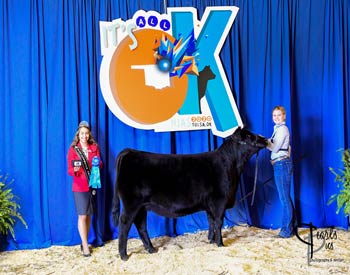 Owned Heifer Class 22