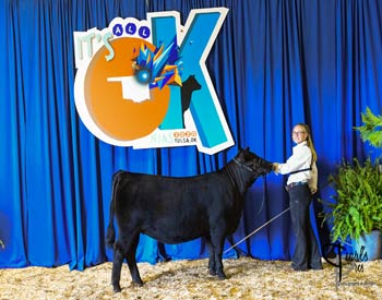 Bred-and-owned Heifer Class 6