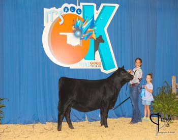 Owned Heifer Class 4