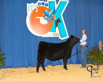 Owned Heifer Class 3