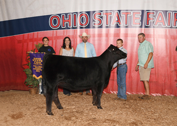 Grand Champion Bred-and-owned Female