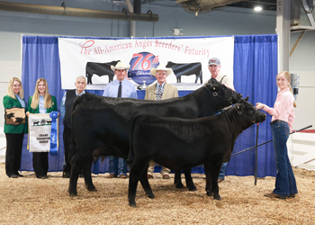 Grand Champion Cow-calf Pair