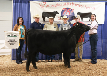 Reserve Intermediate Champion Heifer