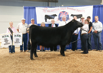 Reserve Grand Champion Owned Female