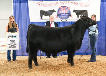 Bred-and-owned Reserve Senior Champion Female