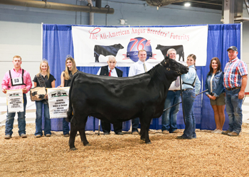 Fourth Overall Bred-and-owned Champion Female