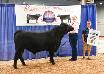 Bred-and-owned Reserve Intermediate Champion Bull