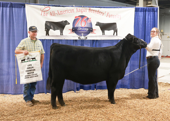 Owned Late Junior Champion Heifer