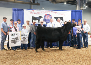 Grand Champion Owned Female