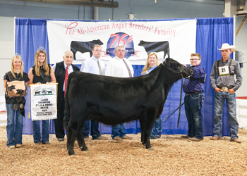 Grand Champion Bred-and-owned Female