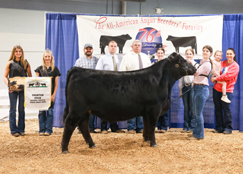 Grand Champion Steer