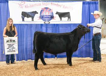 Bred-and-owned Reserve Senior Heifer Calf Champion