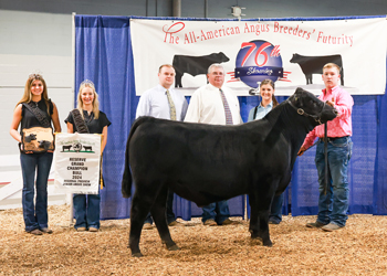 Reserve Grand Champion Bred-and-owned Bull