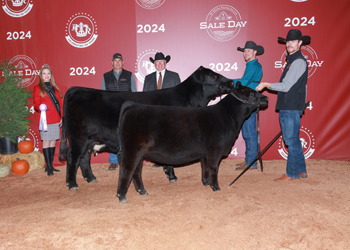 Reserve Grand Champion Cow-calf Pair