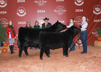 Grand Champion Cow-calf Pair