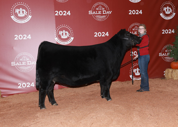 Reserve Senior Champion Female