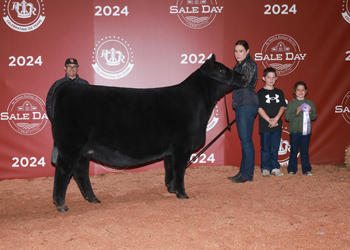 Reserve Intermediate Champion Heifer