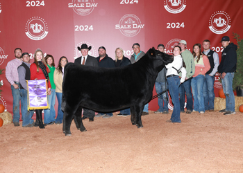 Grand Champion Female