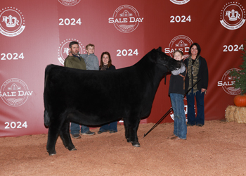 Reserve Junior Champion Heifer - Div 1