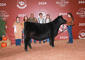 Reserve Senior Heifer Calf Champion - Div 1