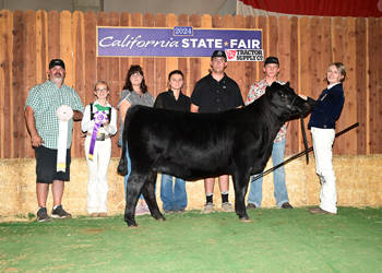 Reserve Grand Champion Female