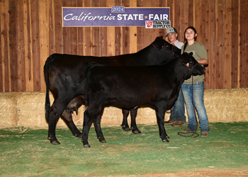 Grand Champion Cow-calf Pair