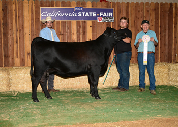 Reserve Grand Champion Female