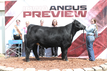 Reserve Grand Champion Bred-and-owned Steer