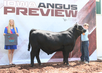 Reserve Senior Bull Calf Champion