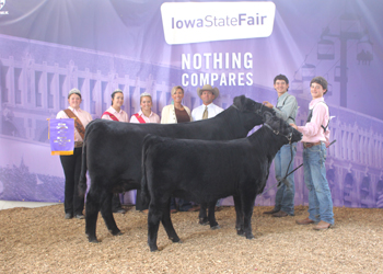 Grand Champion Cow-calf Pair