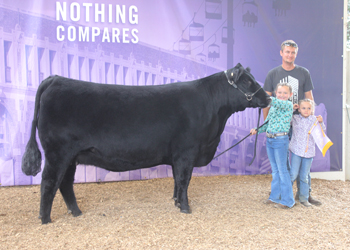 Reserve Senior Champion Female