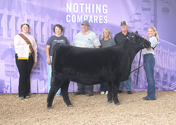 Reserve Intermediate Champion Heifer