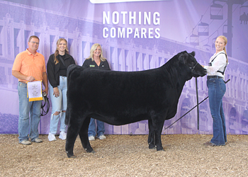 Reserve Junior Champion Heifer