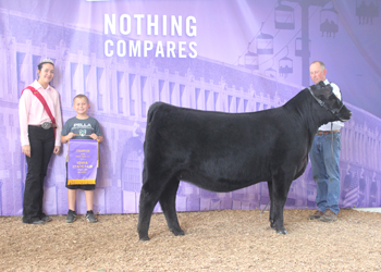 Senior Heifer Calf Champion